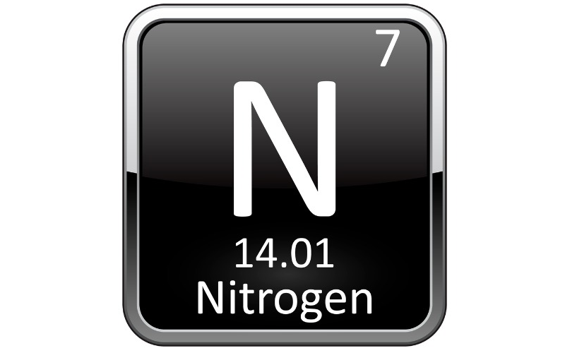 Nitrogen PT